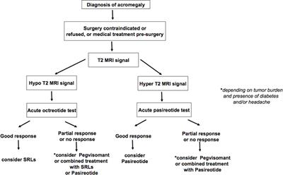 Pasireotide in the Personalized Treatment of Acromegaly